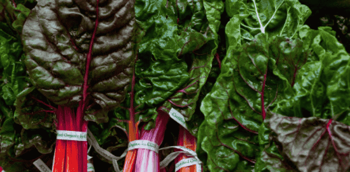 Holistic naturopathic care focused on root causes